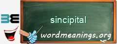 WordMeaning blackboard for sincipital